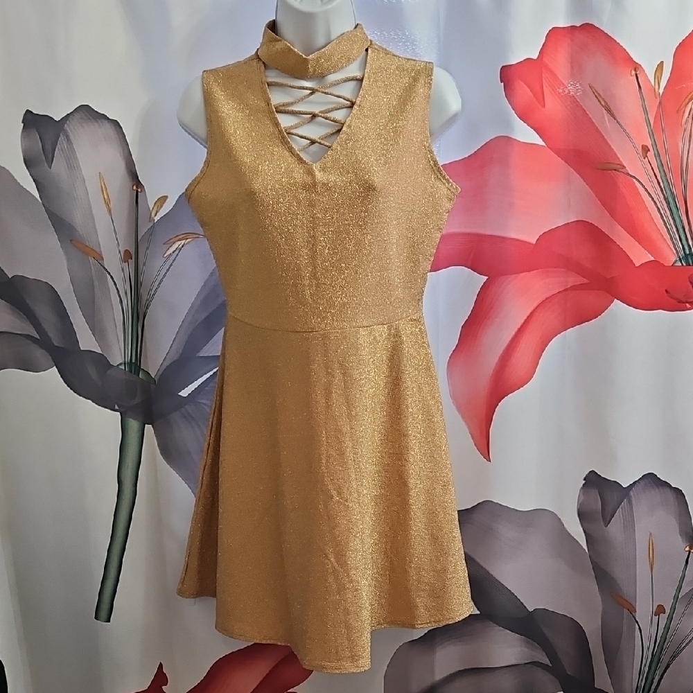 Adam Levine Collection Gold Mini Dress